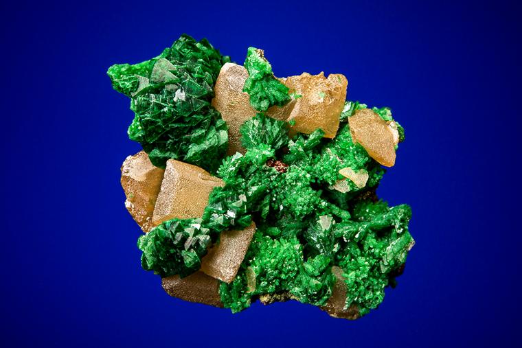 ZINCOLIVENITE on WULFENITE